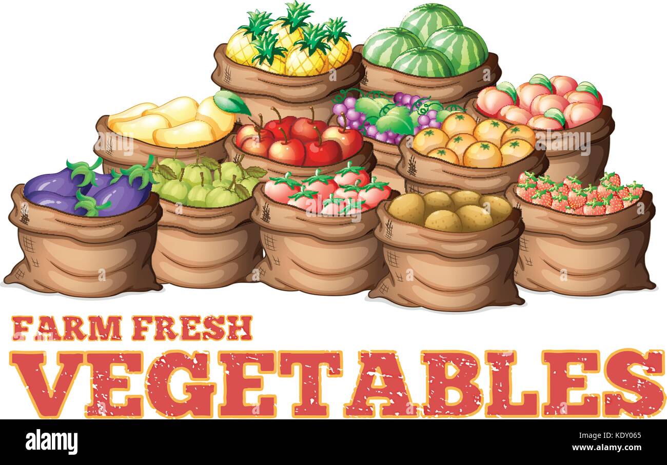 Verschiedene Arten von frischem Gemüse illustration Stock Vektor