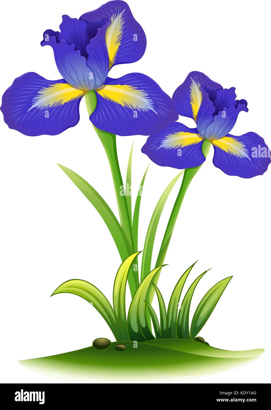 Blue Iris Blumen im Bush Abbildung Stock Vektor