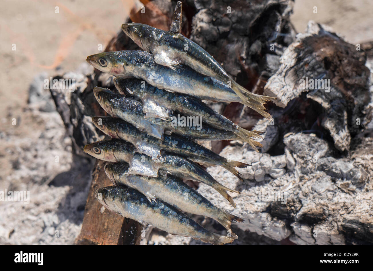 Sardinen Kochen auf offenem Feuer am Strand Stockfoto