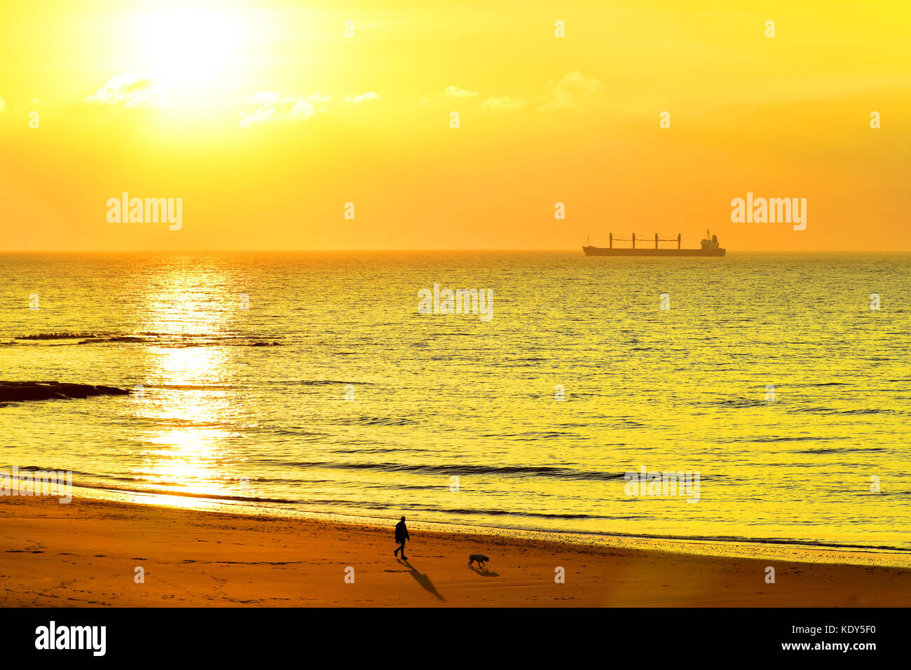 Dawn Hundespaziergang an einem Sandstrand bei Ebbe gegen große Sonne und Küstenfrachtschiff Stockfoto