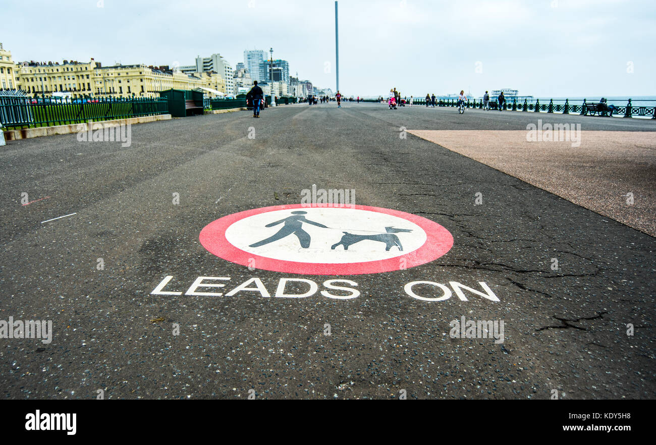 Hunde führen auf Schild am Strand oder an der Promenade in Brighton und Hove Stockfoto