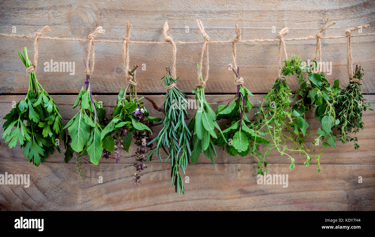 Sortierte hängende Kräuter, Petersilie, Oregano, Minze, Salbei, Rosmarin, Basilikum, Heiliges Basilikum und Thymian zum Würzen Konzept auf der urigen alten Holz- Hintergrund. Stockfoto