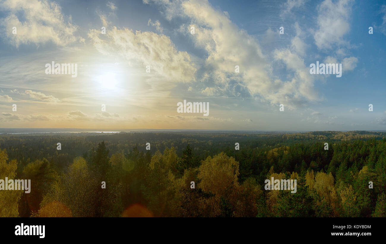 Herbst Landschaft, Wald in einem Sonnenuntergang Licht in Ogre Blue Hills Park, in Lettland Stockfoto