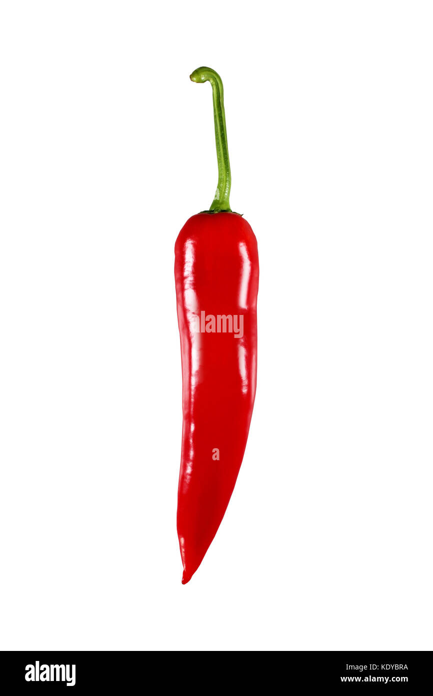 rote Paprika isoliert auf weißem Hintergrund Stockfoto