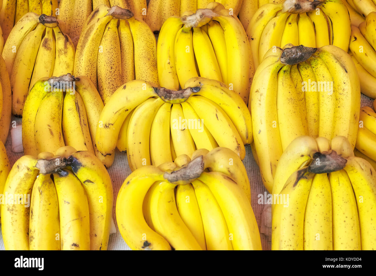 Natürliche Reife bio Bananen Trauben auf einem lokalen Markt, selektive konzentrieren. Stockfoto