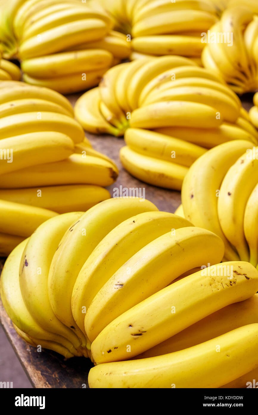 Natürliche Reife bio Bananen Trauben auf einem lokalen Markt, selektive konzentrieren. Stockfoto