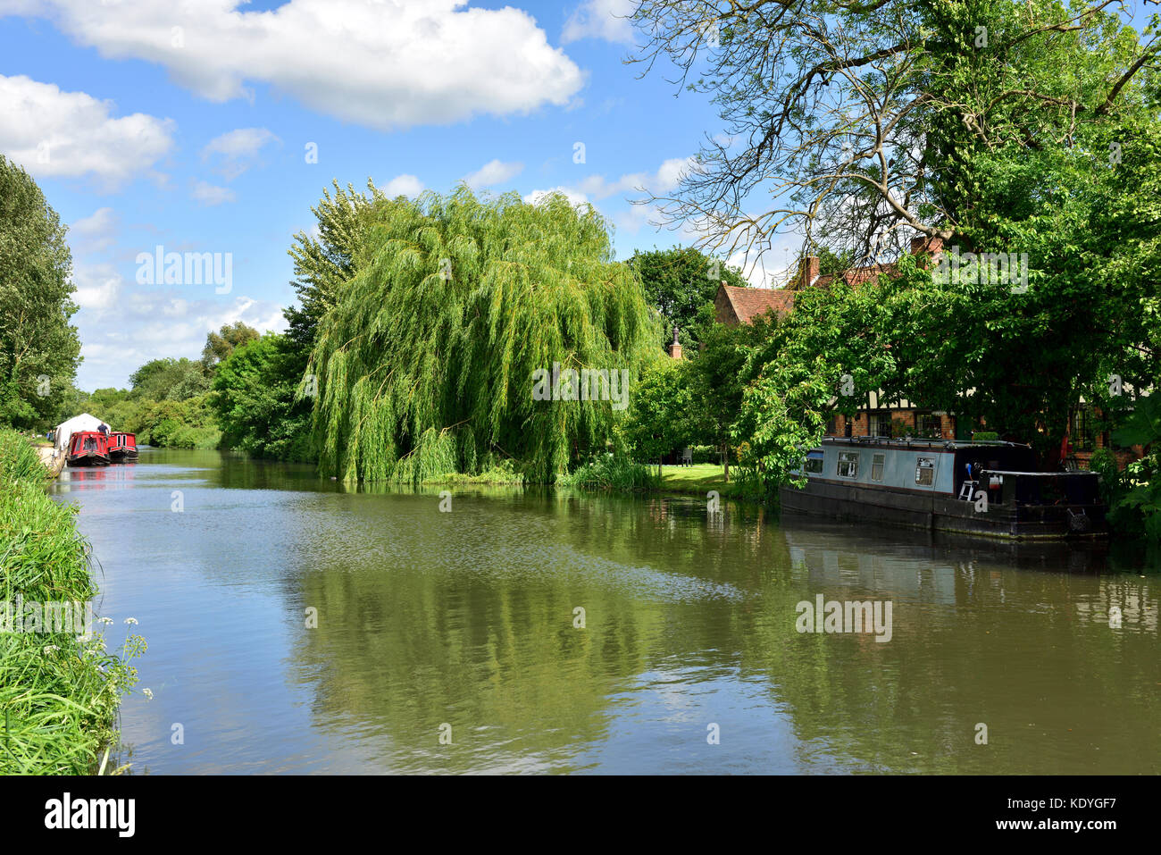 Fluss mit Bäumen und Hausbooten an seinen Ufern, Großbritannien Stockfoto