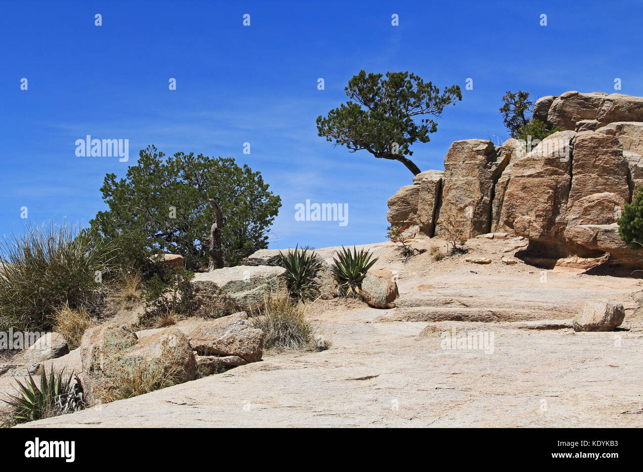 Windy Point Vista auf Mt. Lemmon Stockfoto