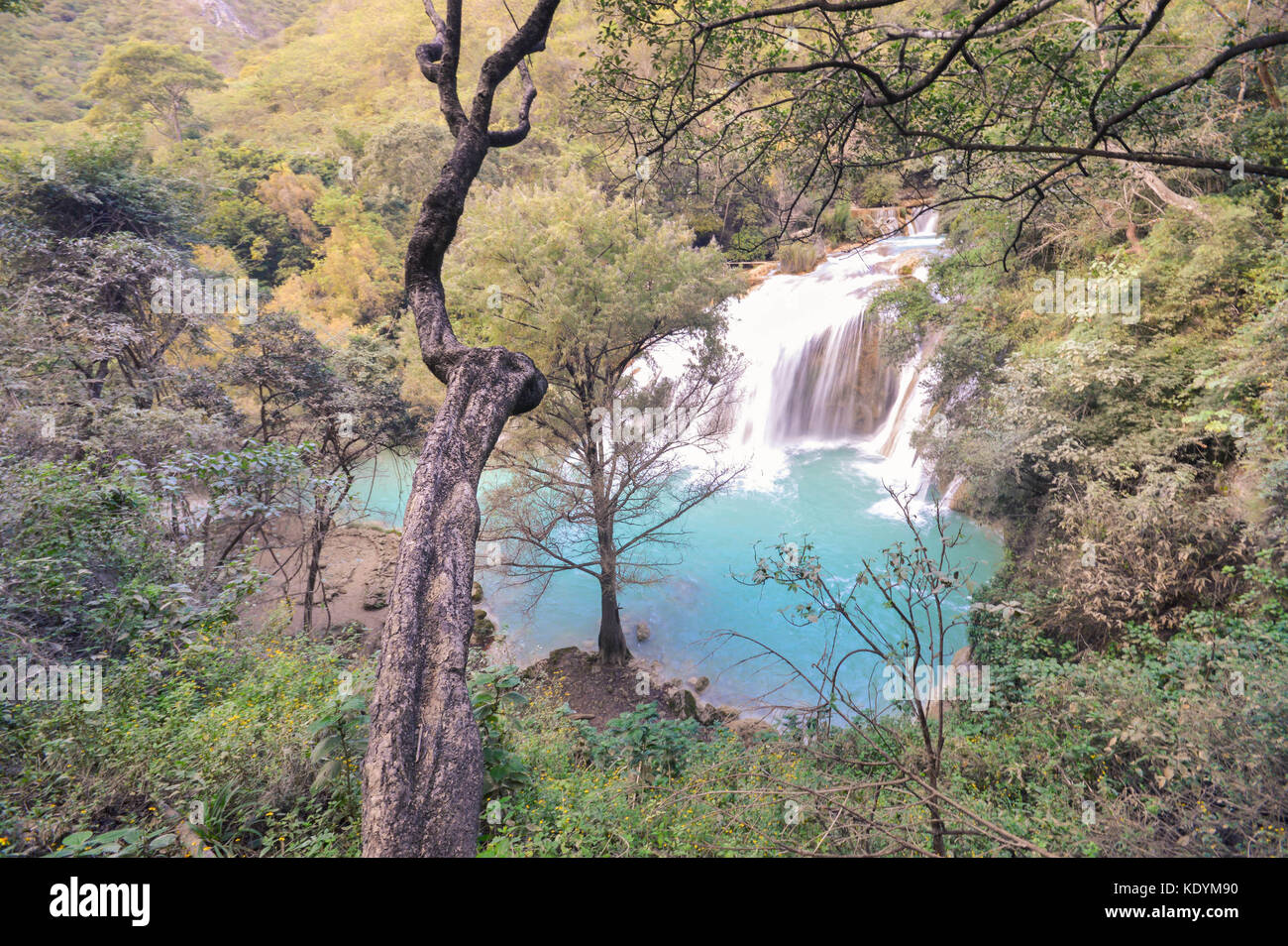 Schöne el chifflon Wasserfälle im Bundesstaat Chiapas, in der Nähe von Nuevo Dominguez, Mexiko Stockfoto