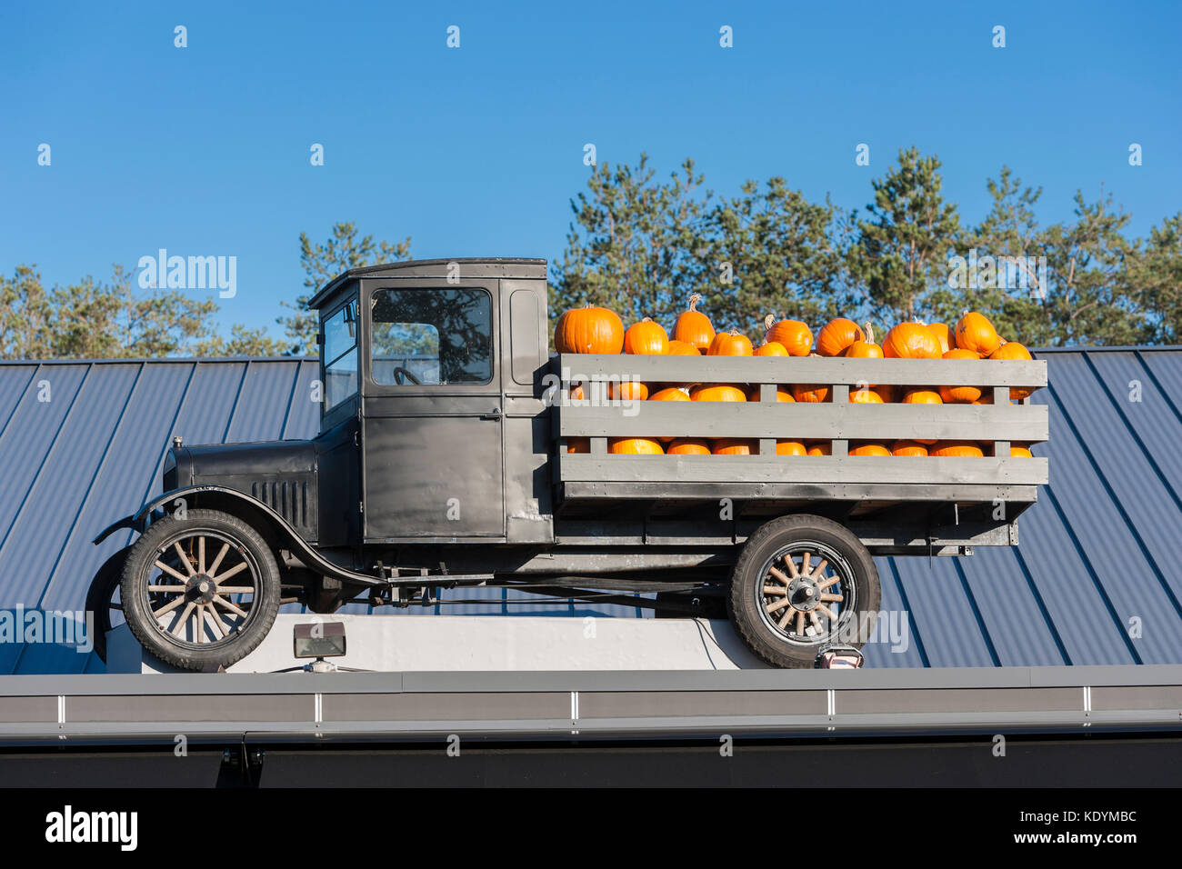 Antike Ford LKW mit Kürbissen für Halloween-Victoria, British Columbia, Kanada gefüllt. Stockfoto