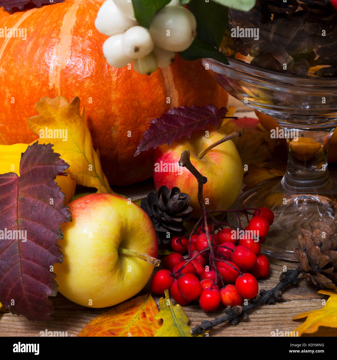 Thanksgiving oder Hintergrund mit snowberry und Rowan, Kürbis, Äpfel fallen, Kegel Stockfoto
