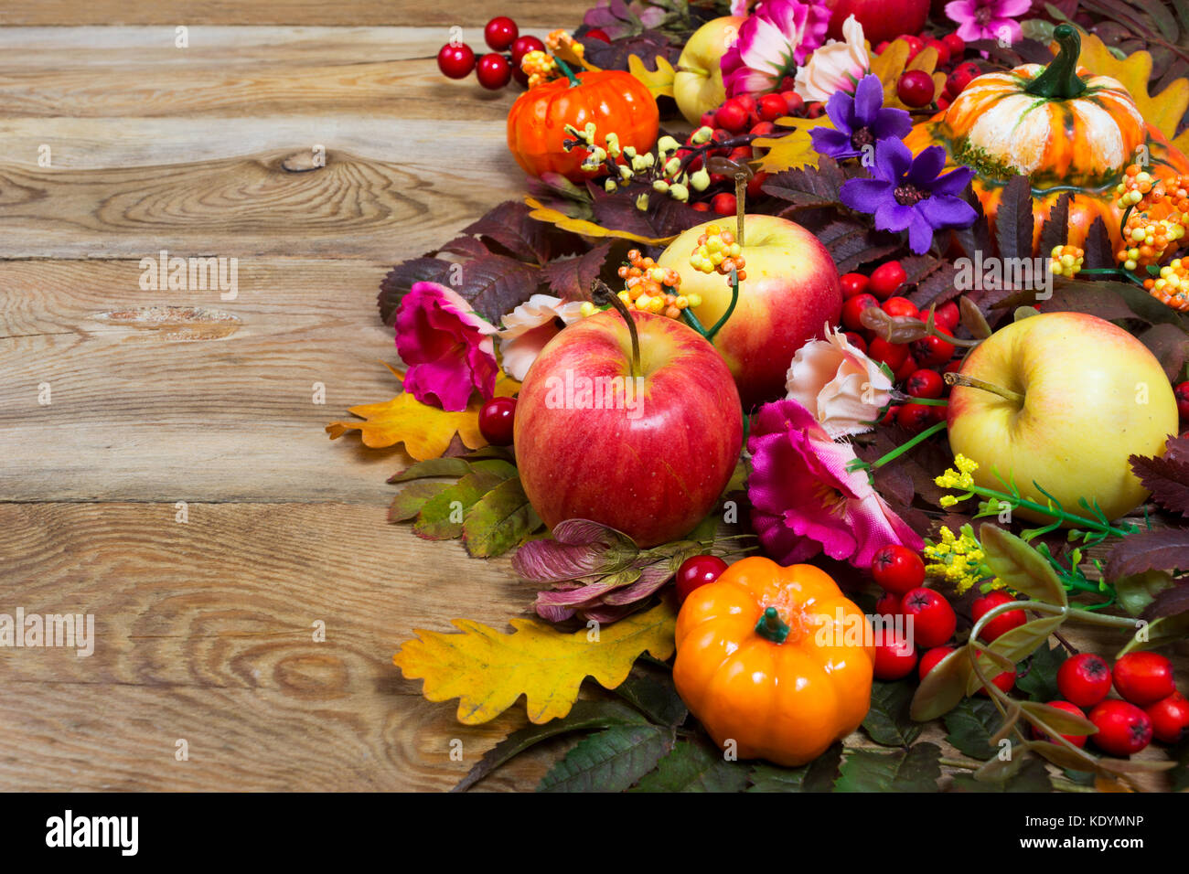 Thanksgiving Dekoration mit Kürbisse, Äpfel, gelb, pink und lila Blüten, kopieren Raum Stockfoto