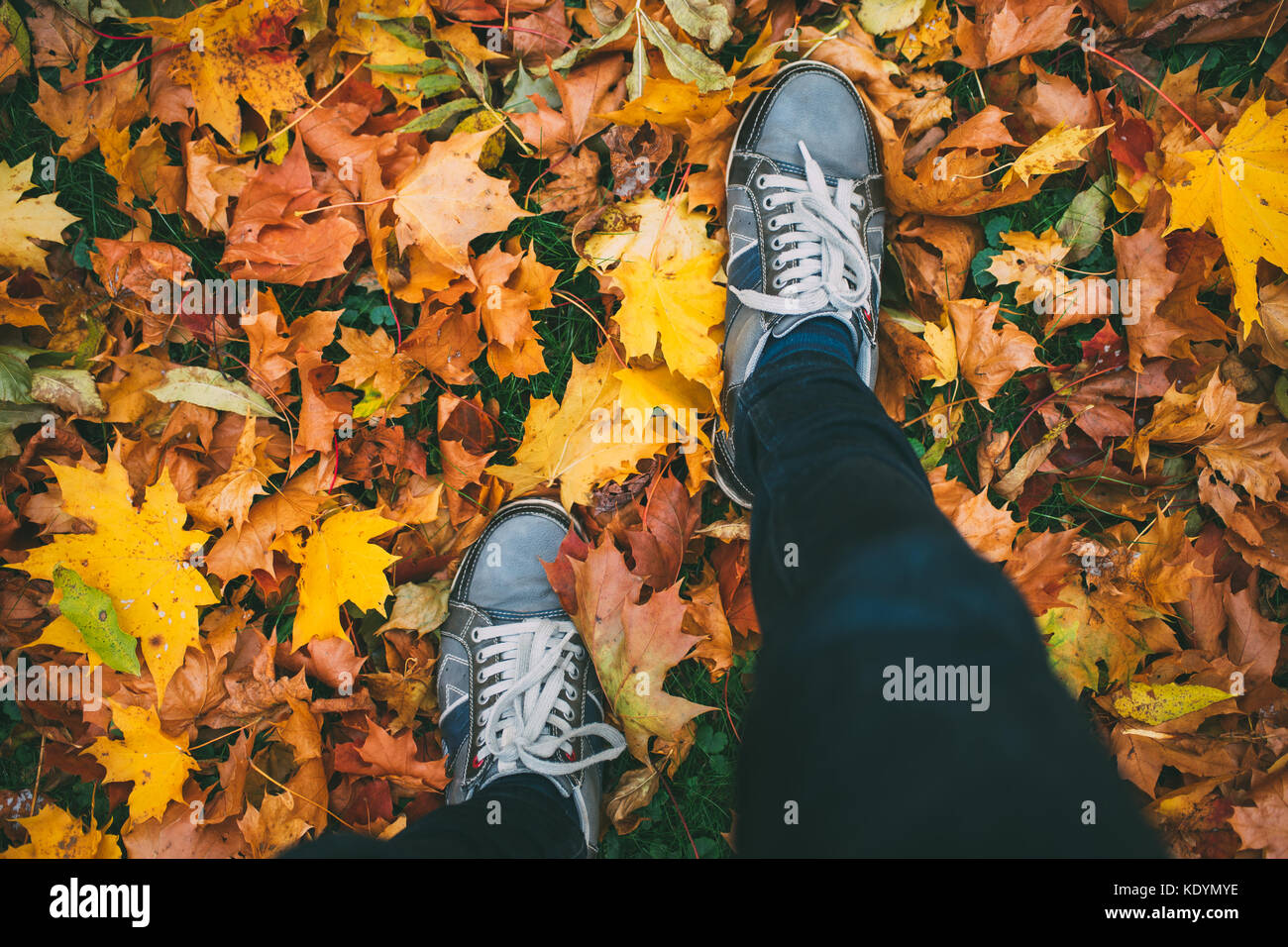 Junge Mann in Turnschuhen auf dem Boden mit Herbstlaub, Ansicht von oben, ungewöhnliche Perspektive Stockfoto