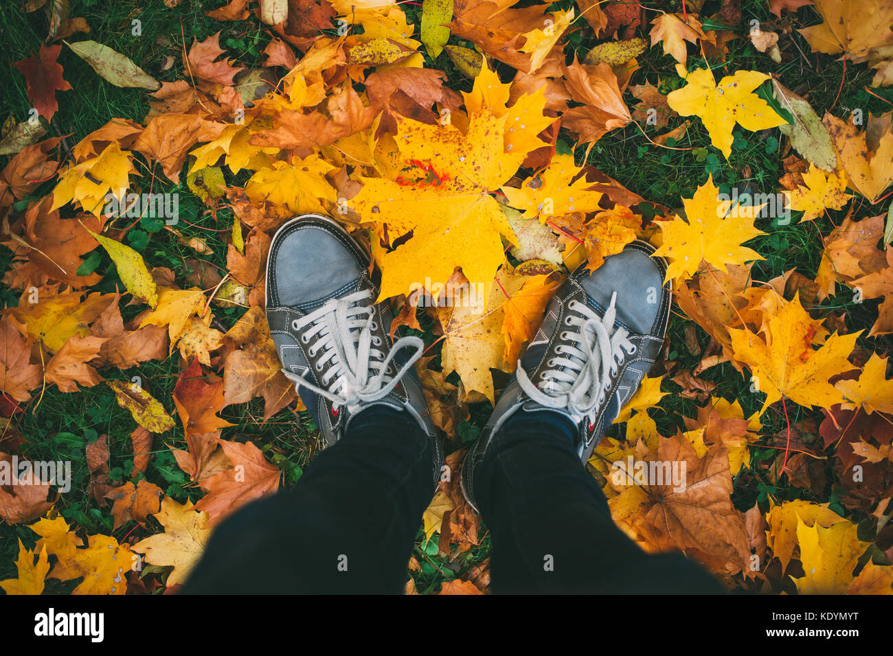 Teenage Beine in Turnschuhen und Jeans am Boden steht mit Blätter im Herbst, Ansicht von oben, ungewöhnliche Perspektive Stockfoto