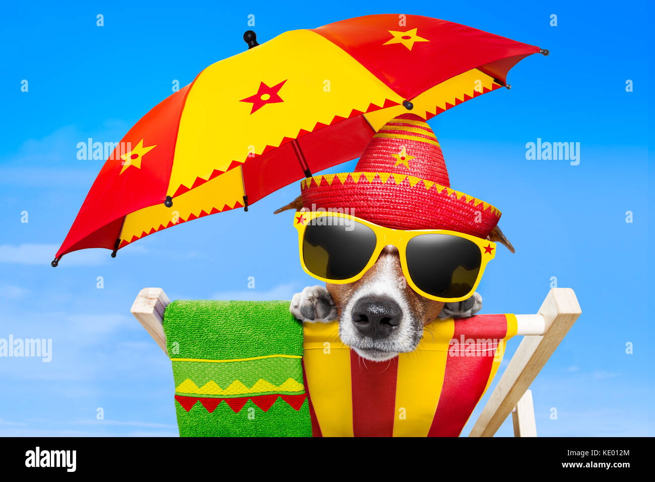 Mexikanische Hund im Urlaub entspannen Sie sich auf einem Liegestuhl unter  einem Sonnenschirm Stockfotografie - Alamy