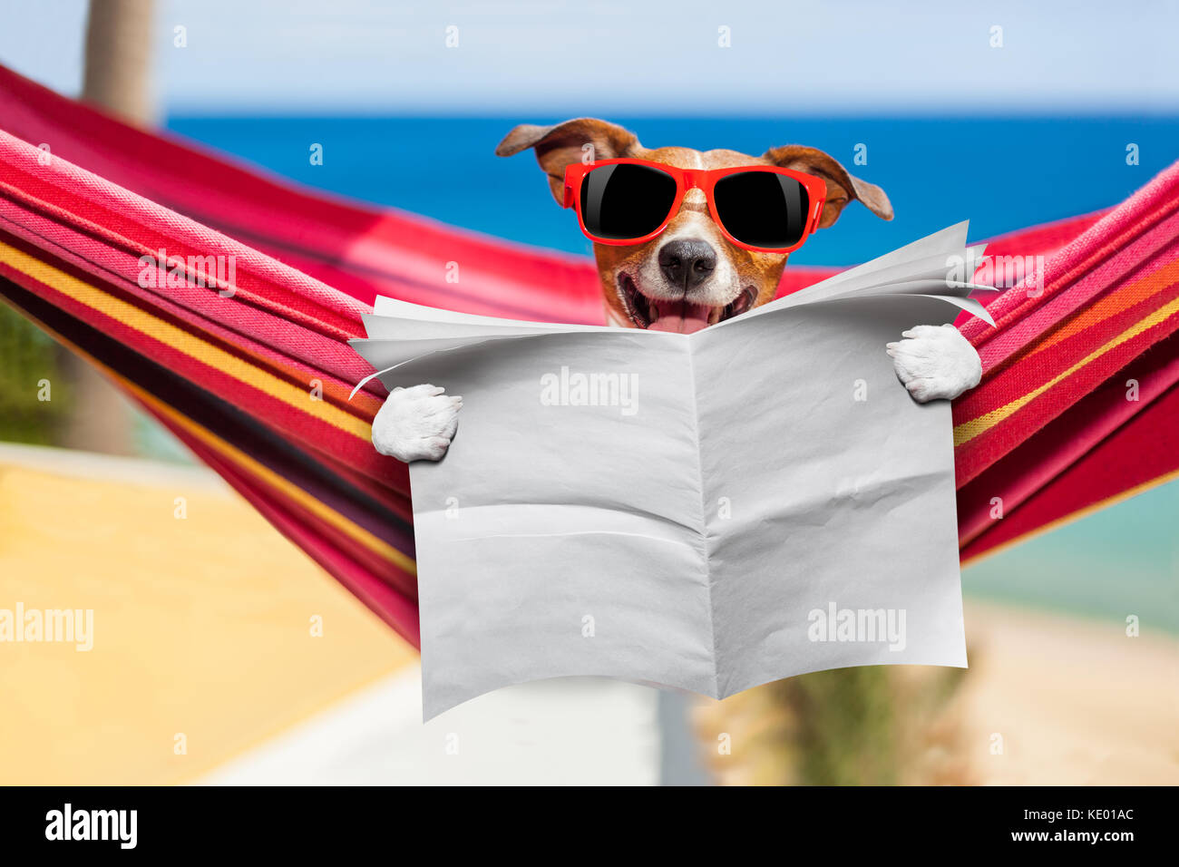 50+ Jack Russel Urlaub Sprüche Bilder, Unser jack russell darf heute