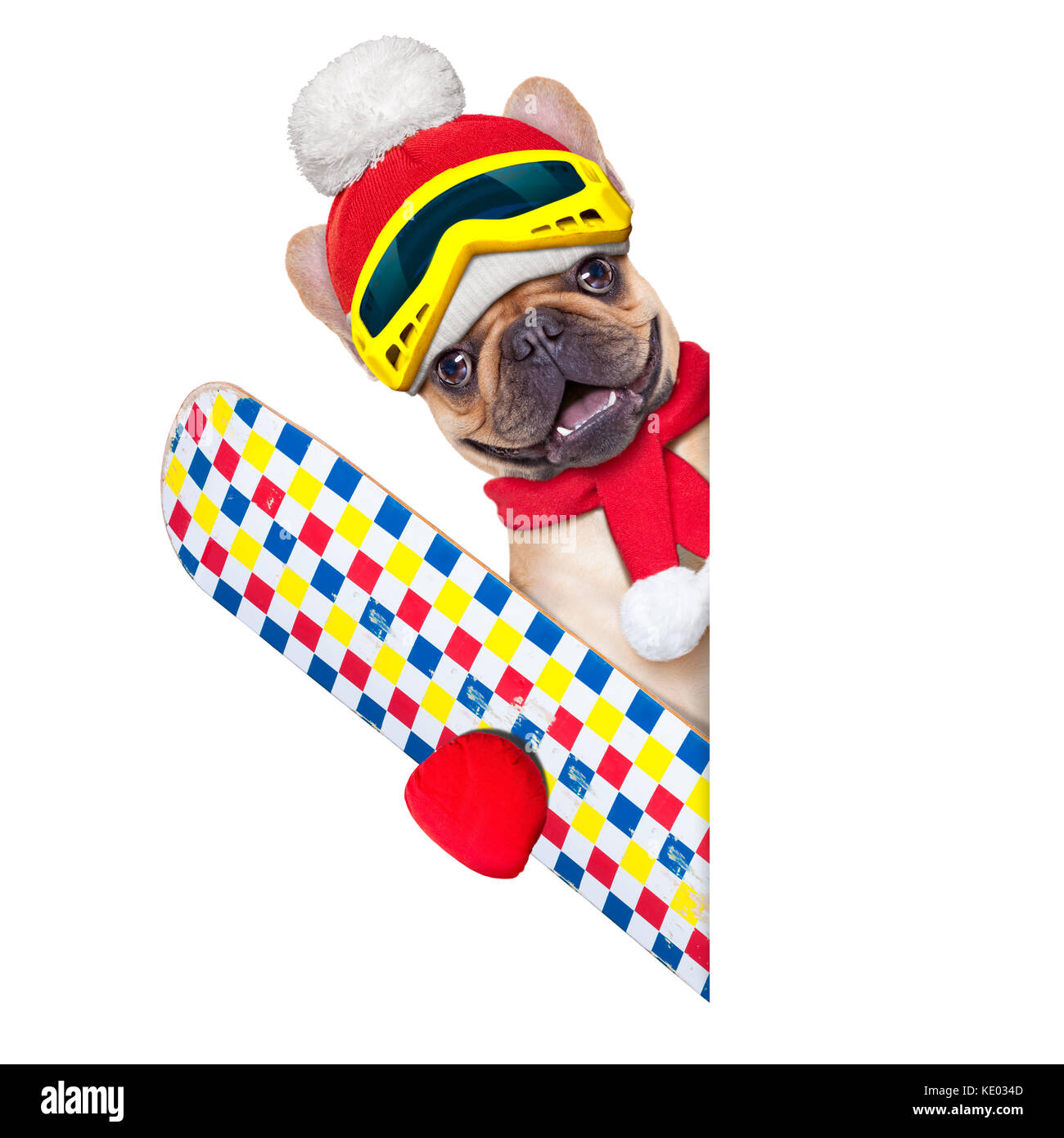 Fawn französische Bulldogge Hund mit Skiausrüstung, das Tragen von Schutzbrille, Handschuhe, einen Hut und ein roter Schal, neben einem weißen leeren Banner oder Plakat, isoliert auf weißem Stockfoto