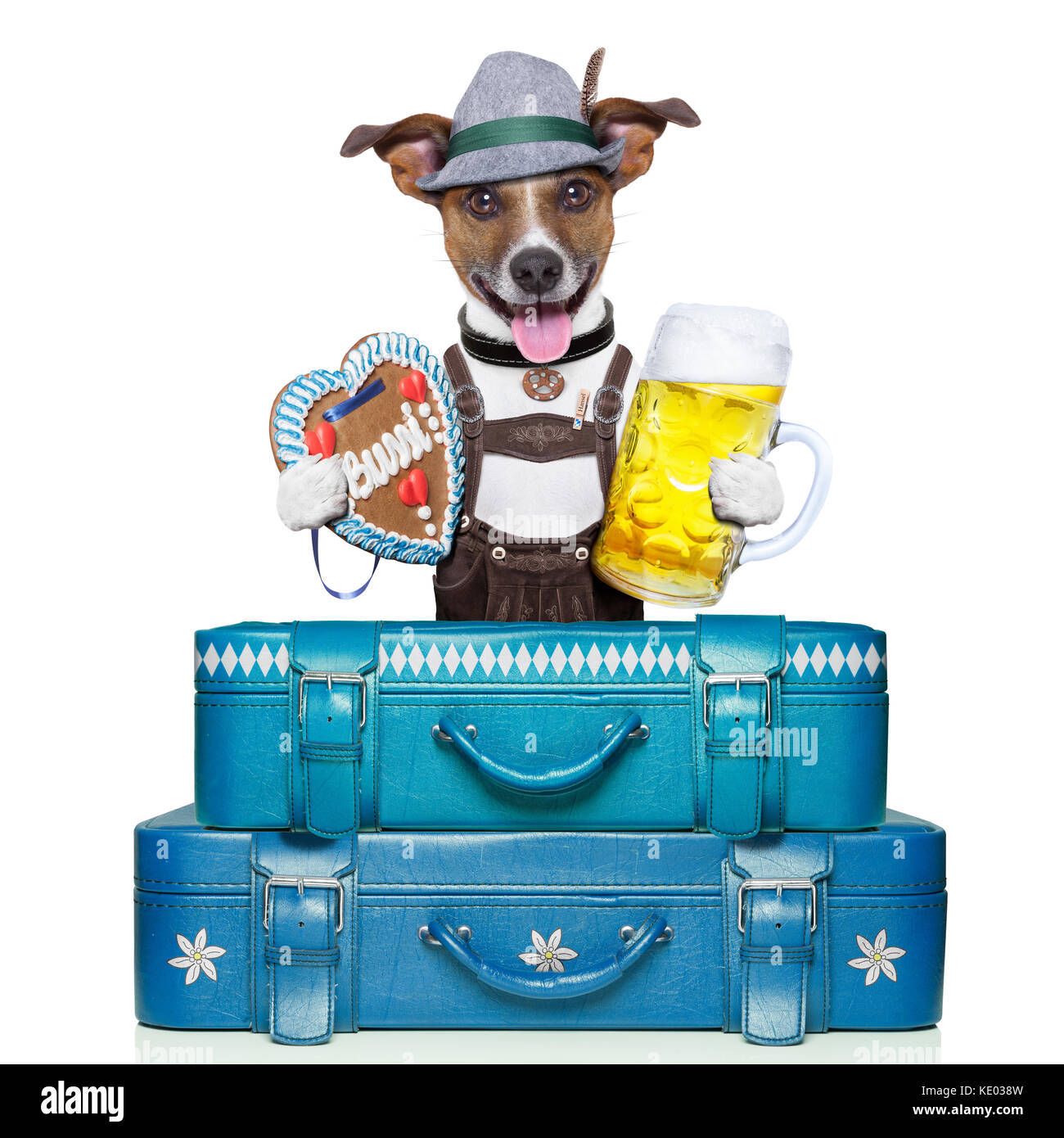 Oktoberfest Hund mit Gepäck, Bier, und Lebkuchen Herzen Stockfotografie -  Alamy