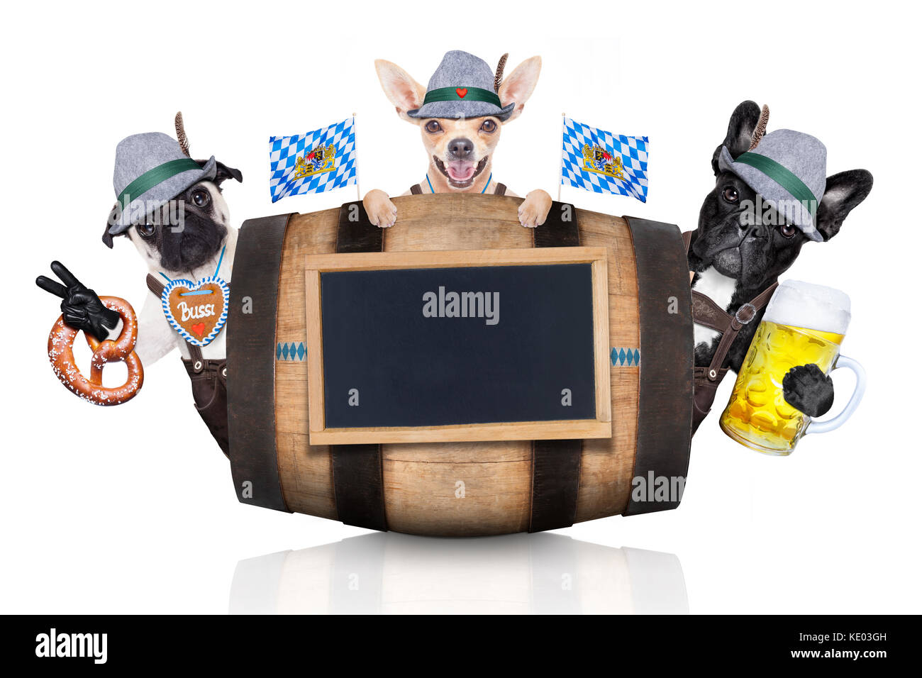 Gruppe oder Team der Bayerischen deutsche Hunde mit Lebkuchen und Hut, hinter Barrel, auf weißem Hintergrund, bereit für das Bier Feier festiv Stockfoto