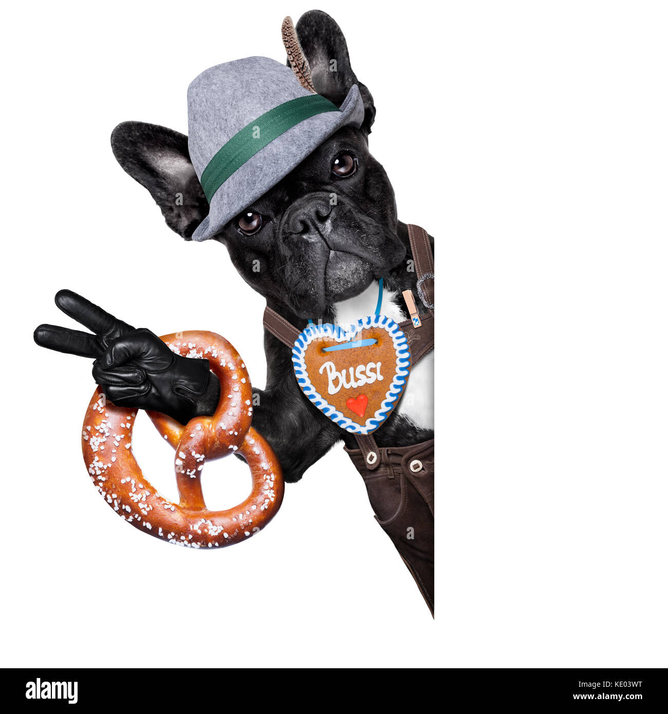 Bayrisch Kleiner Hund Mit 7 Buchstaben Bayerische deutscher Hund neben einem weißen leeren Banner oder Plakat