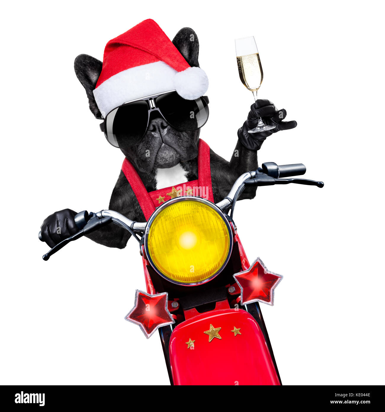 Santa claus Hund auf Motorrad toasten Beifall zu jedem, auf weiße Leere weiße Hintergrund isoliert Stockfoto