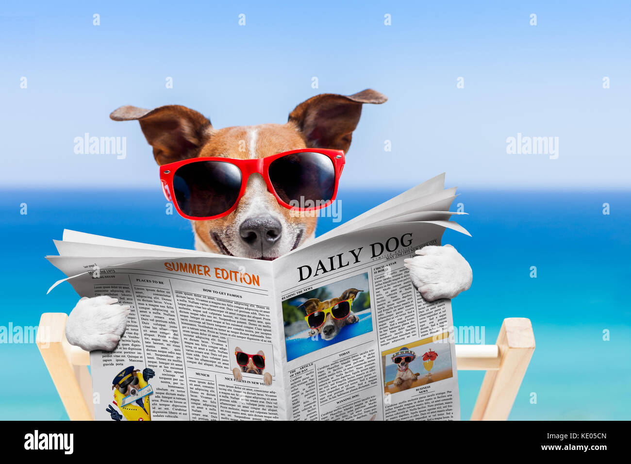 Jack Russell Hund, lesen Zeitung auf Hängematte am Strand Sommer Urlaub