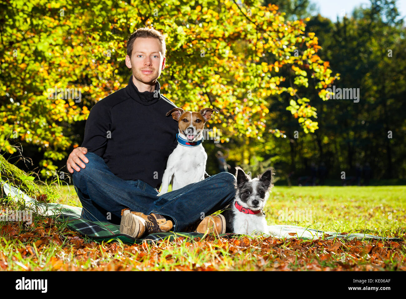 Zwei glückliche Hunde mit Besitzer sitzen auf dem Rasen im Park ...