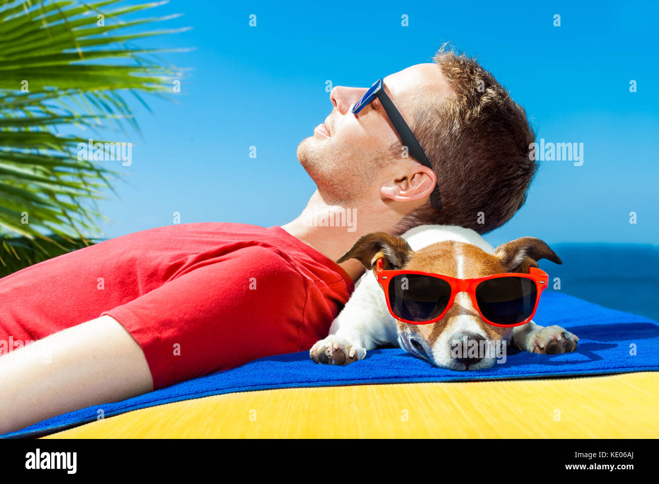 Jack Russell Hund und Herrchen Sonnenbaden in einer Siesta unter einer
