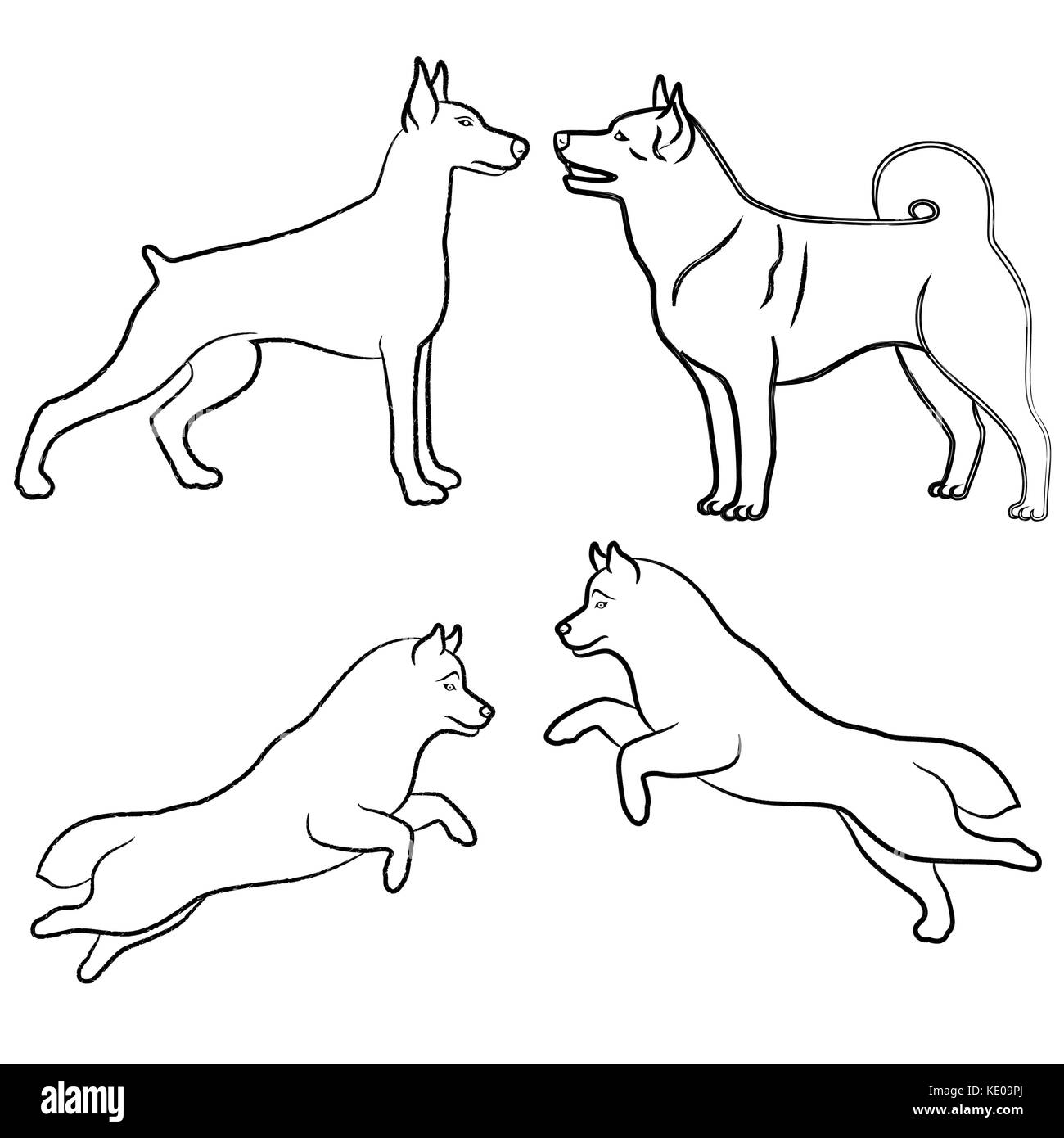 Satz von vier ständigen und springende Hunde, Vektor beschreibt Stock Vektor