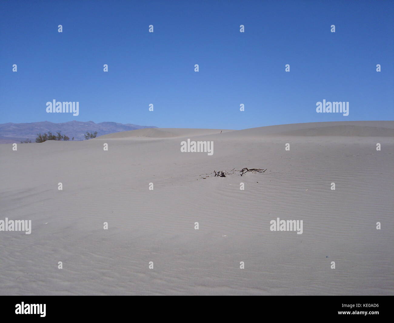 Sandwüste im Death Valley, USA Stockfoto