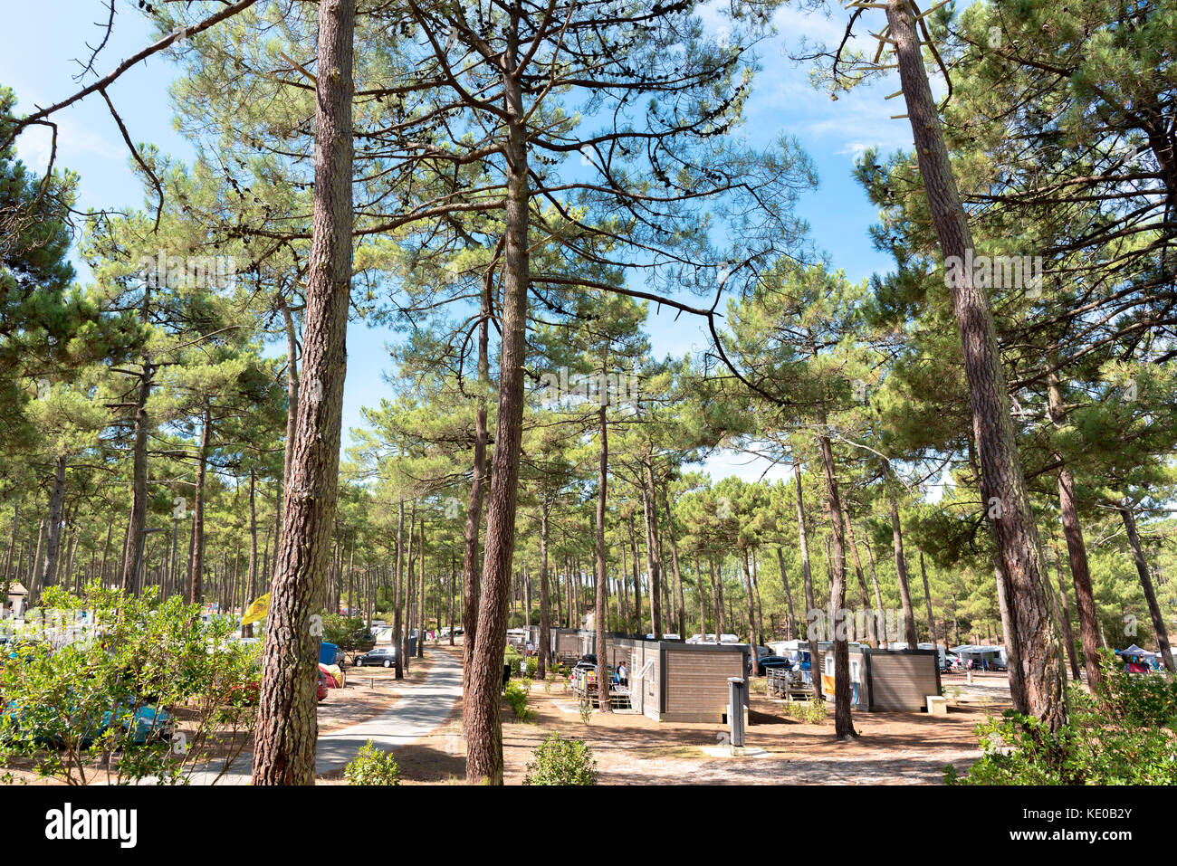 Camping *** La grigne, Le Porge, Frankreich Stockfoto