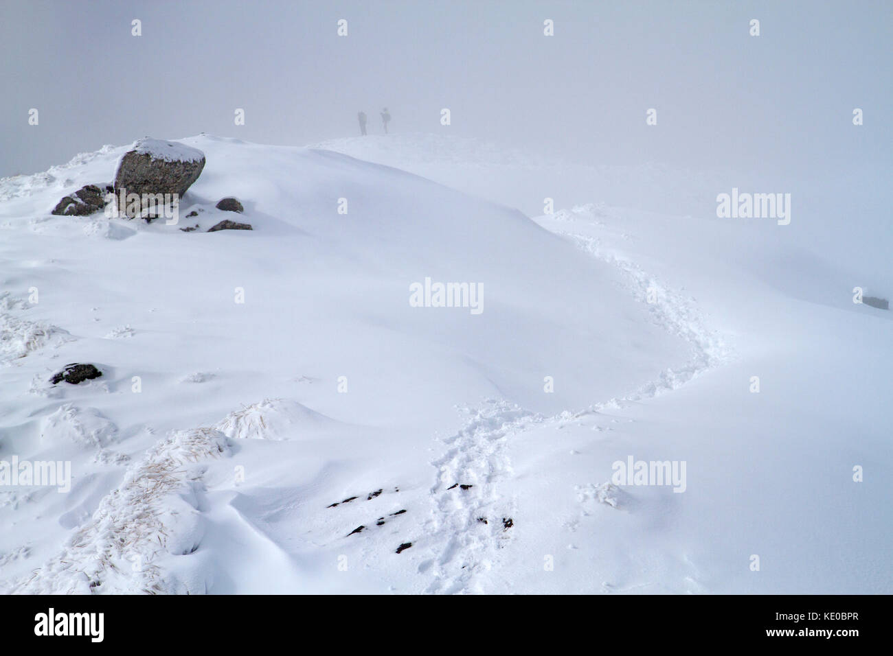 Wanderer auf dem Weg nach roys Peak, Wanaka Stockfoto