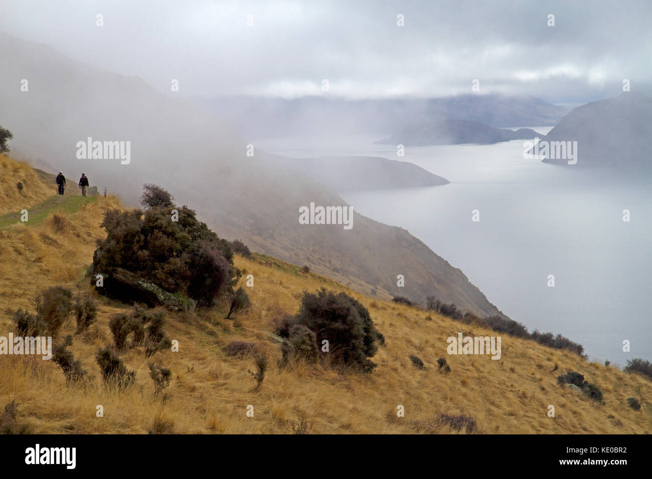 Wanderer auf dem Weg nach roys Peak, Wanaka Stockfoto