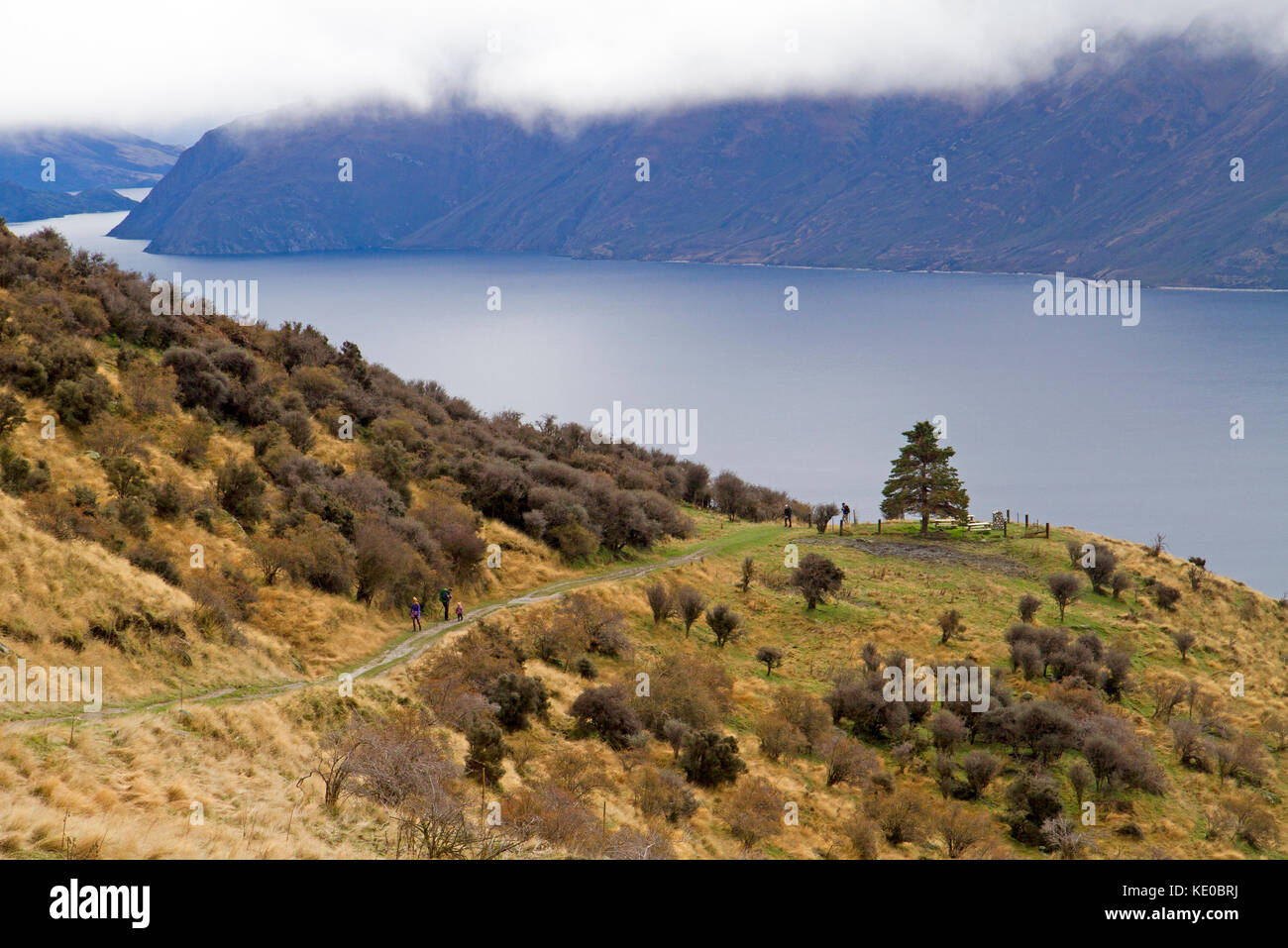 Wanderer auf dem Weg nach roys Peak, Wanaka Stockfoto