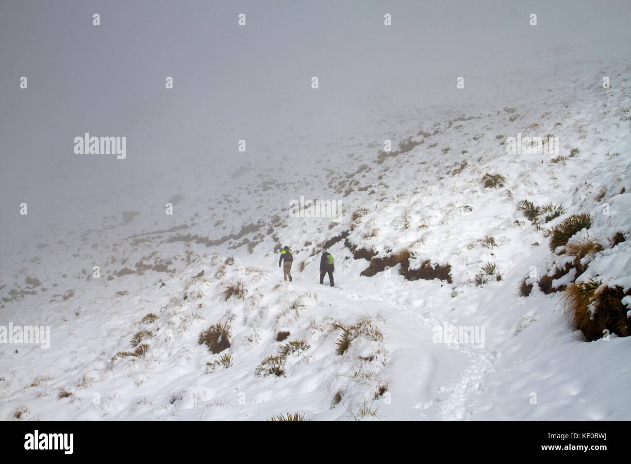 Wanderer auf dem Weg nach roys Peak, Wanaka Stockfoto