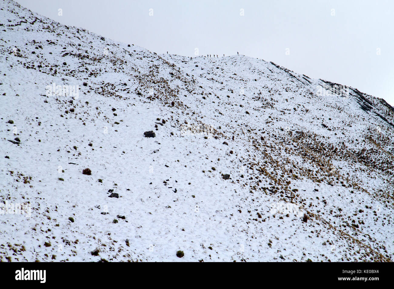 Wanderer auf dem Weg nach roys Peak, Wanaka Stockfoto