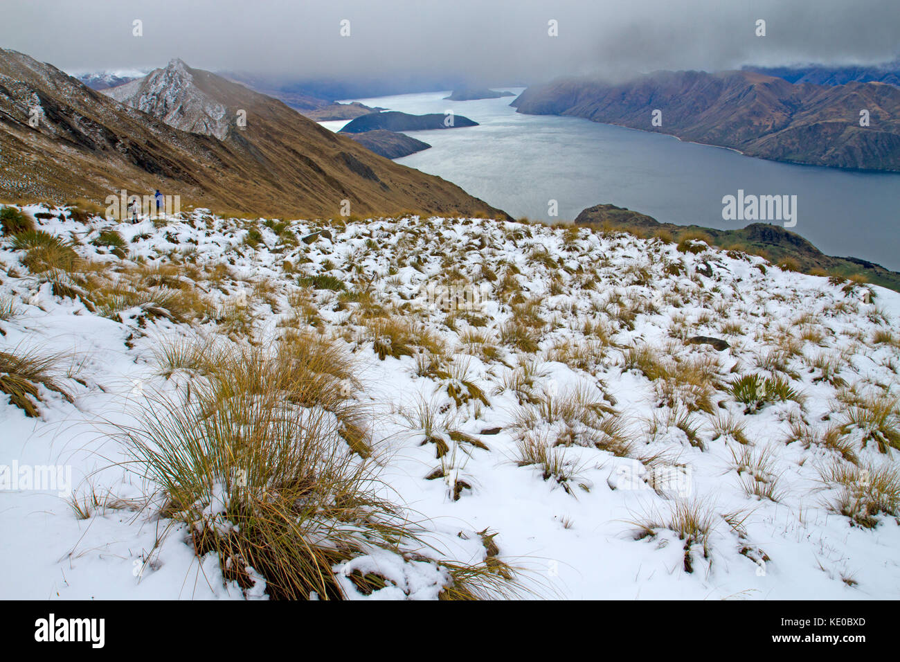 Wanderer auf dem Weg nach roys Peak, Wanaka Stockfoto