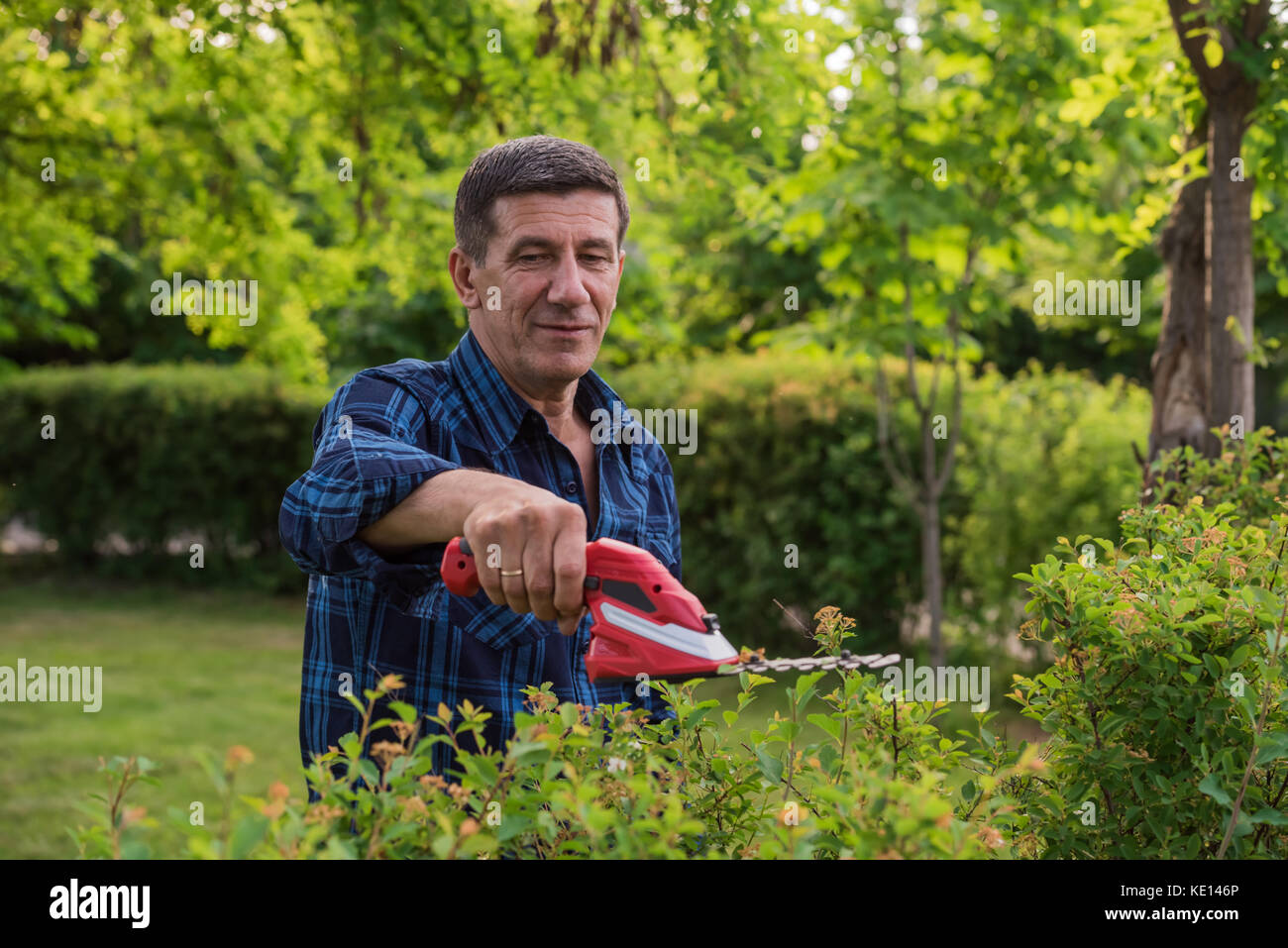 Pensionierter, aber immer noch gesund aussehenden Mann ist Schneiden und Trimmen der Hecke im Garten mit dem Trimmer. Unscharfe Garten Hintergrund. Logos entfernen Stockfoto