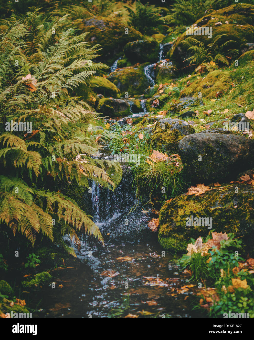 kleiner Fluss Stockfoto