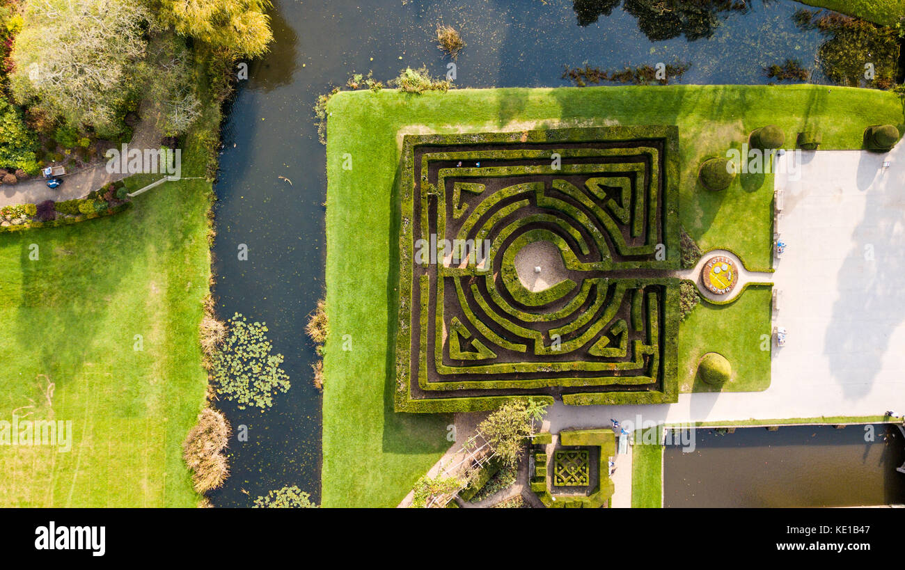 Eibe Labyrinth an Hever Castle, Kent, Enlgand Stockfoto