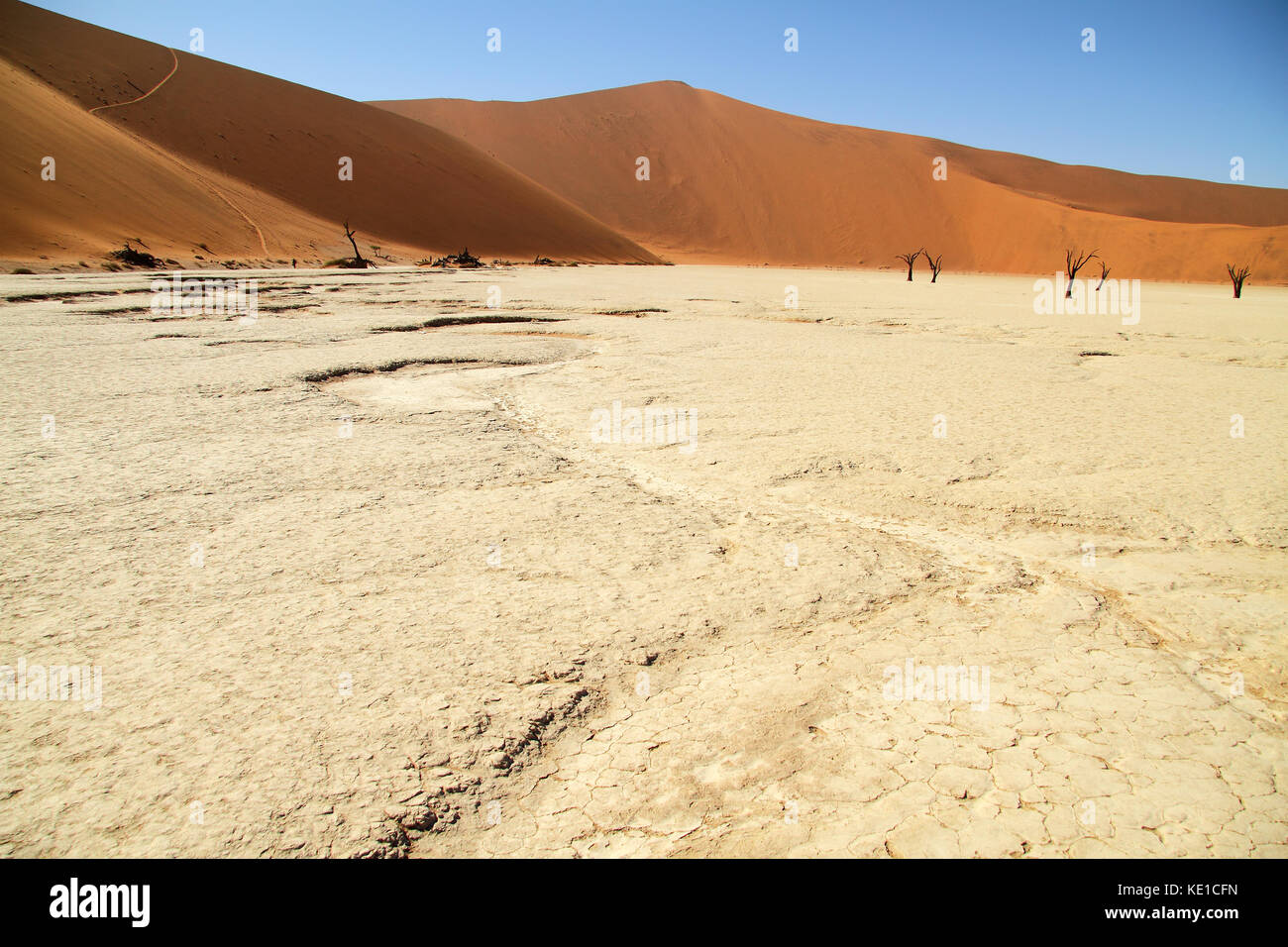 Salzpfanne im Deadvlei, Sossusvlei, Namib Naukluft National Park, Wüste Namib, Namibia, Afrika. Stockfoto