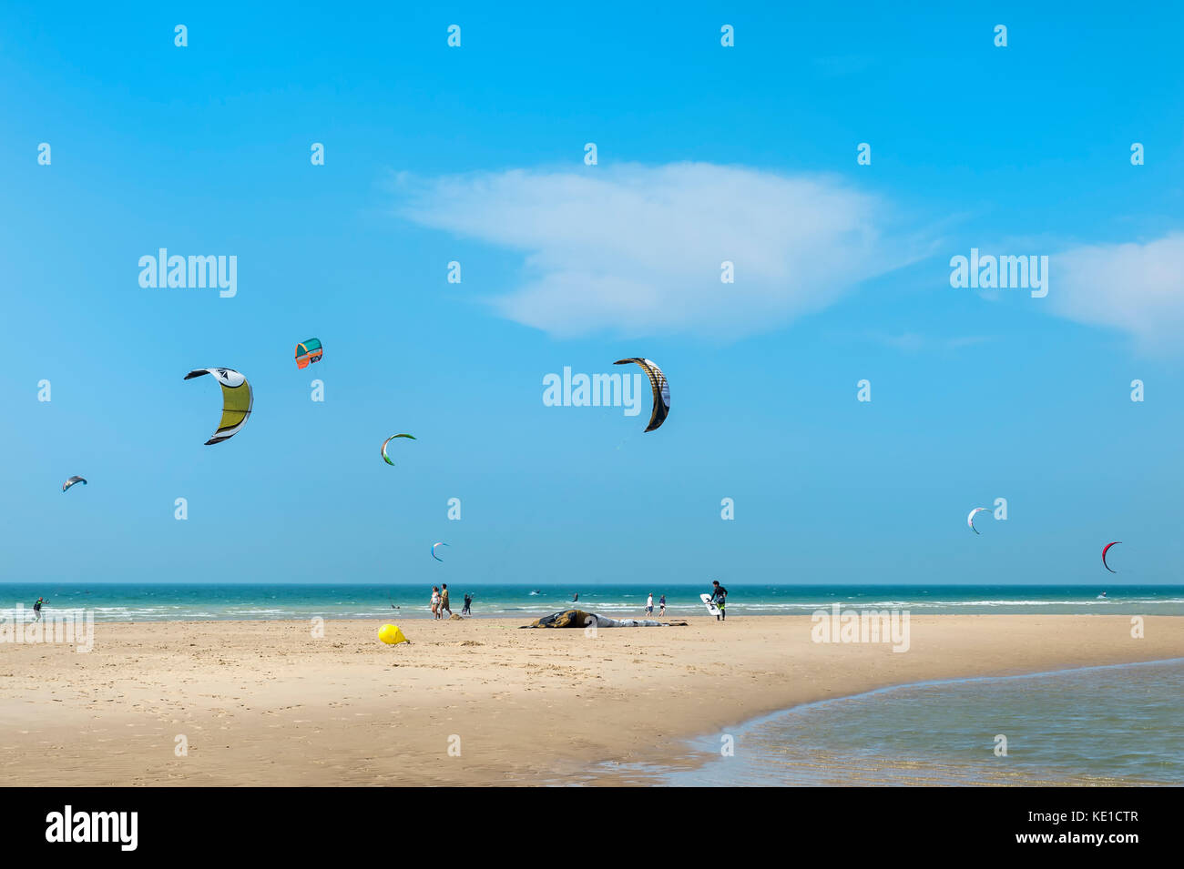 Kite-Surfer auf der Wissant Strand, Côte d ' Opale, Region Nord-Pas-de-Calais, Frankreich Stockfoto