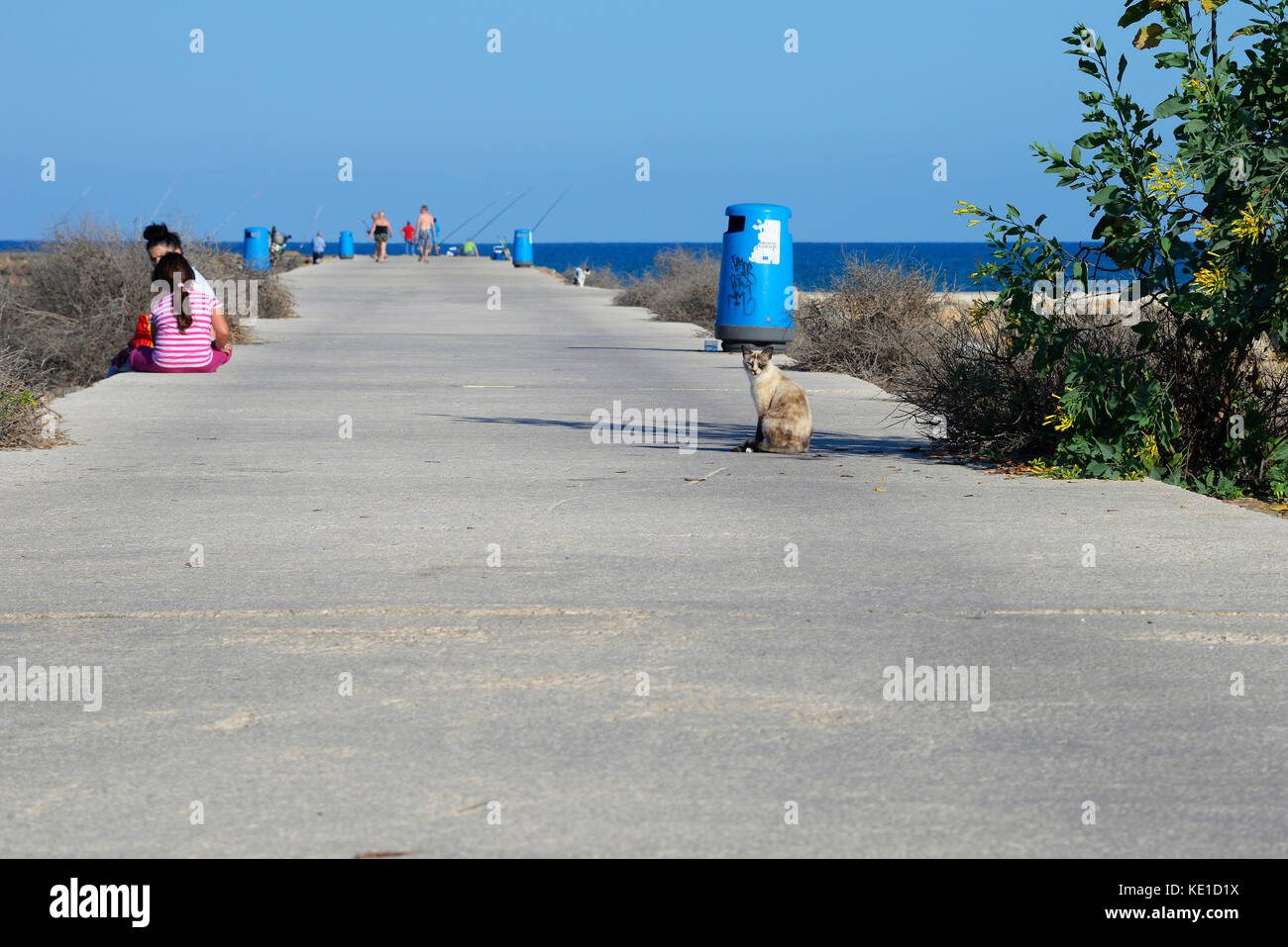 Der Fußweg spuckt an der Mündung des Flusses Segura - gola del rio segura - in Guardamar del Segura am Mittelmeer, Alicante, Spanien Stockfoto