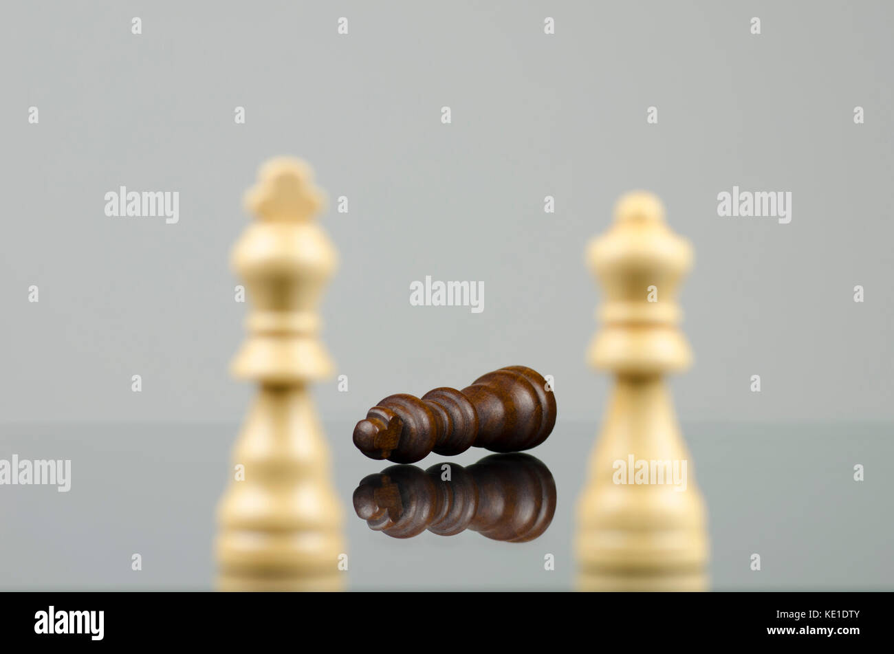 Nahaufnahme von zwei hölzernen weißen Schachfiguren Schach Besiegen eines schwarzen König mit einer Reflexion im Glas Stockfoto