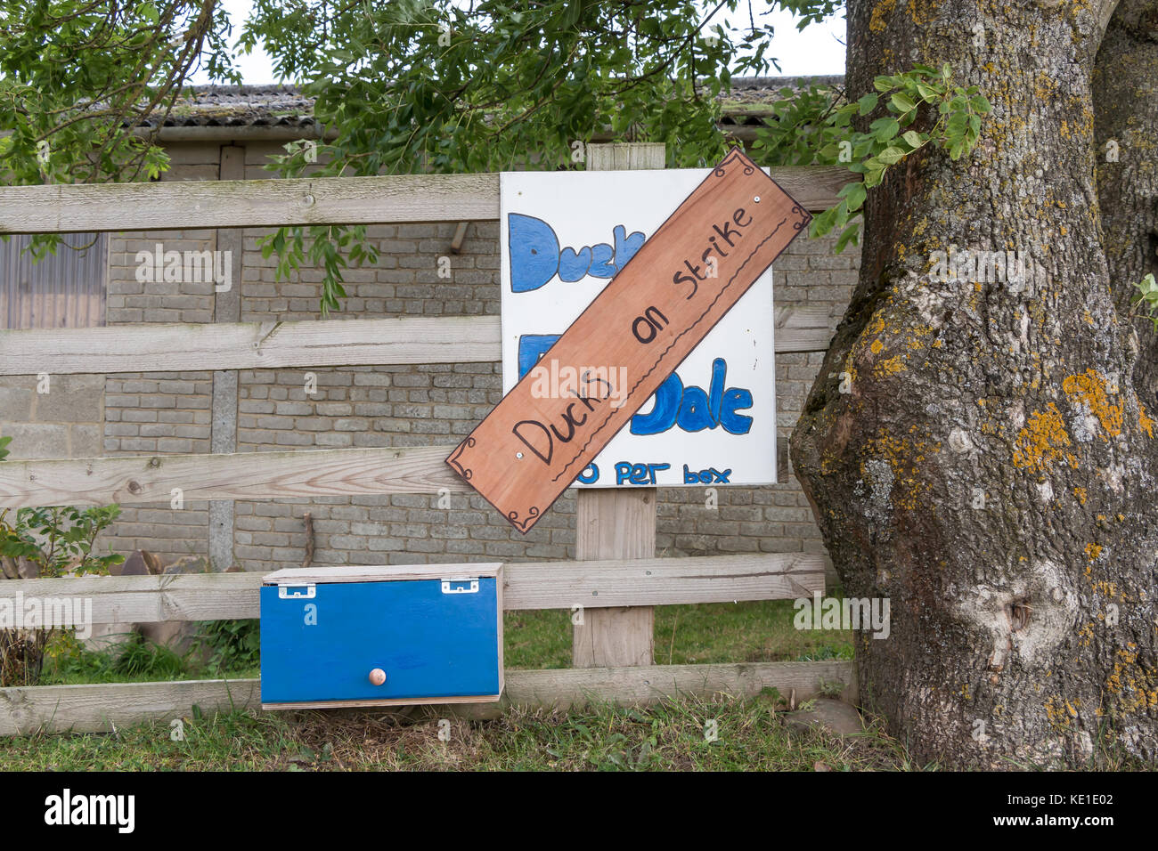 Lustig lustig Schild sind die Enten in den Streik, was bedeutet, dass es keine Ente Eier zum Verkauf verfügbare Stockfoto