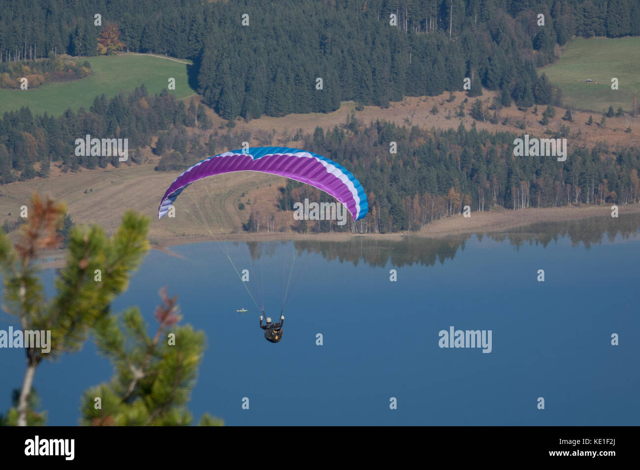 Segelflugzeug fliegt über den Forggensee und das bayerische Alpenvorland in Deutschland hängen Stockfoto