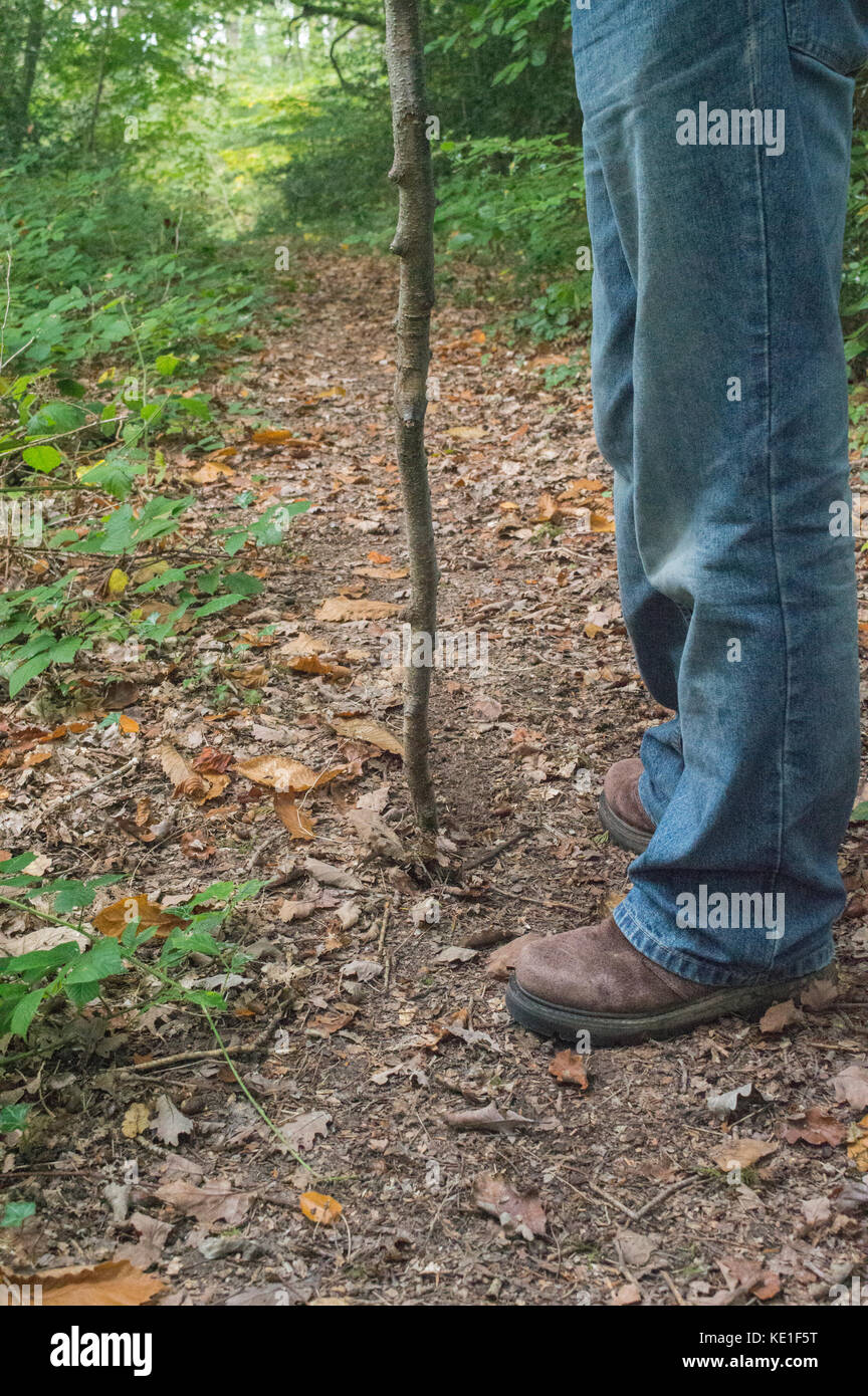 Menschen auf dem Weg in den Wald mit Stick im Herbst in Jeans, konstitutionell-Fotos Stockfoto