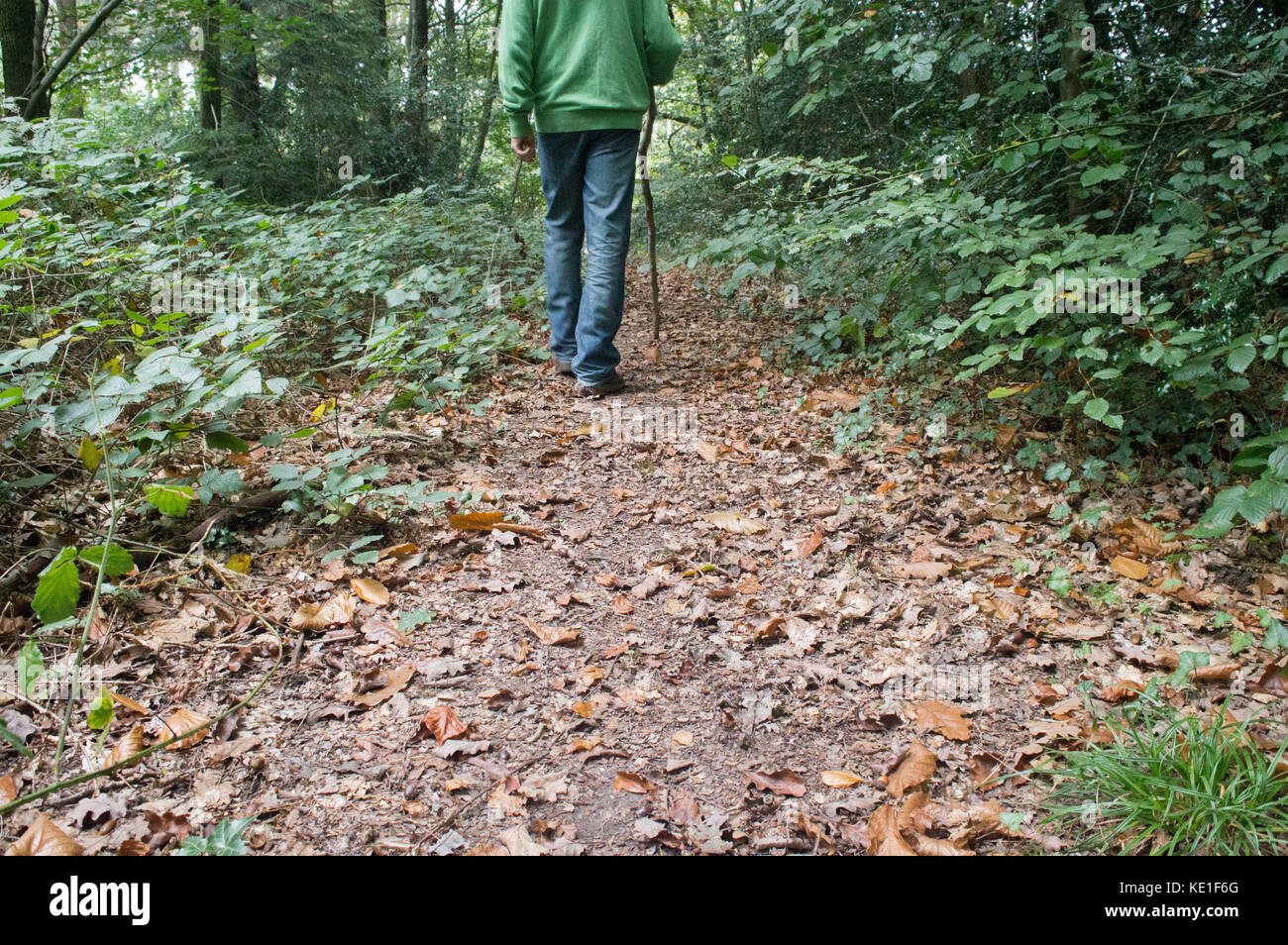 Menschen auf dem Weg in den Wald mit Stick im Herbst in Jeans, konstitutionell-Fotos Stockfoto