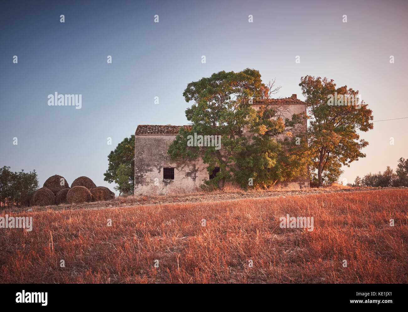 Ländliche Landschaft, altes Bauernhaus mit Olivenbäumen, Italien Stockfoto