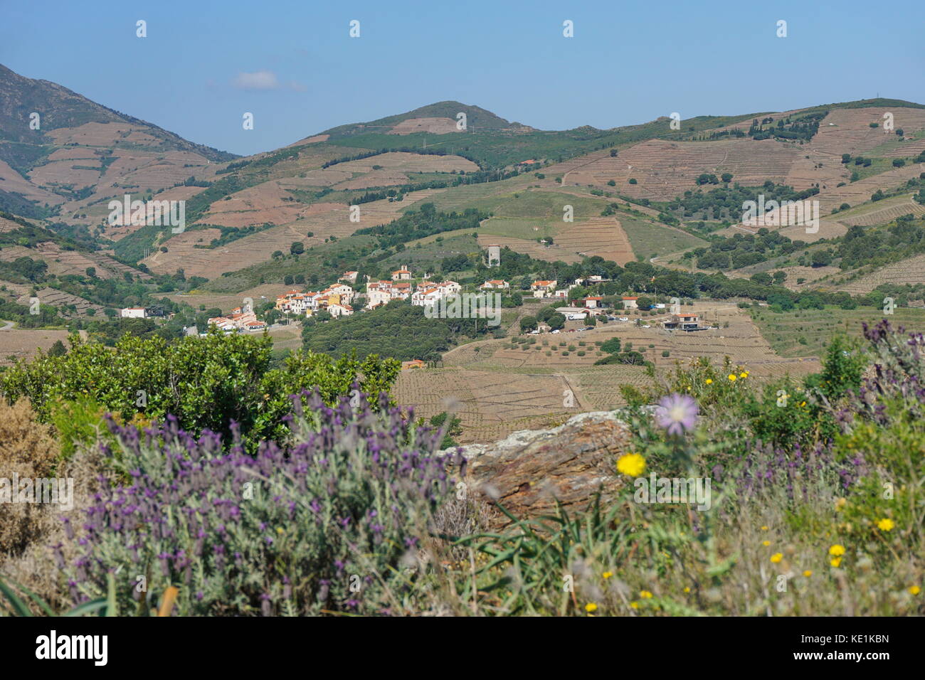 Frankreich Land mediterrane Landschaft Weinberge Felder und das Dorf von cosprons, Languedoc Roussillon, Pyrenees Orientales Stockfoto